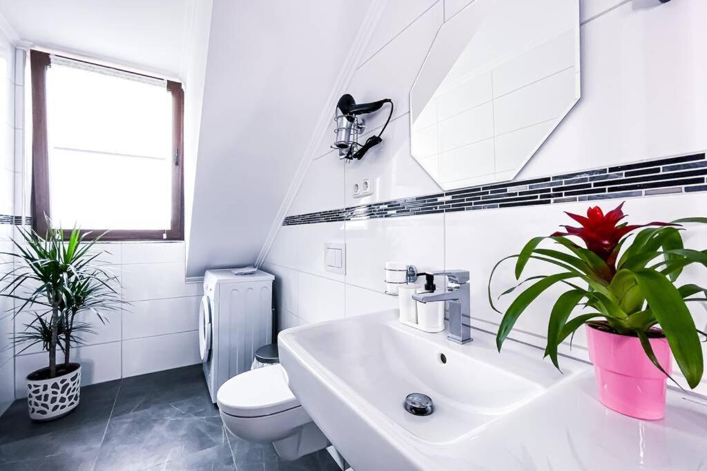 Modern Sanierte Mit 5 Einzelbetten In Leipzig-plagwitz Apartment *