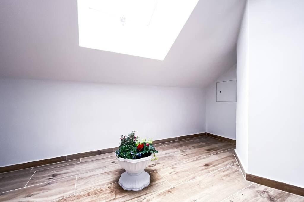 Modern Sanierte Mit 5 Einzelbetten In Leipzig-plagwitz Apartment
